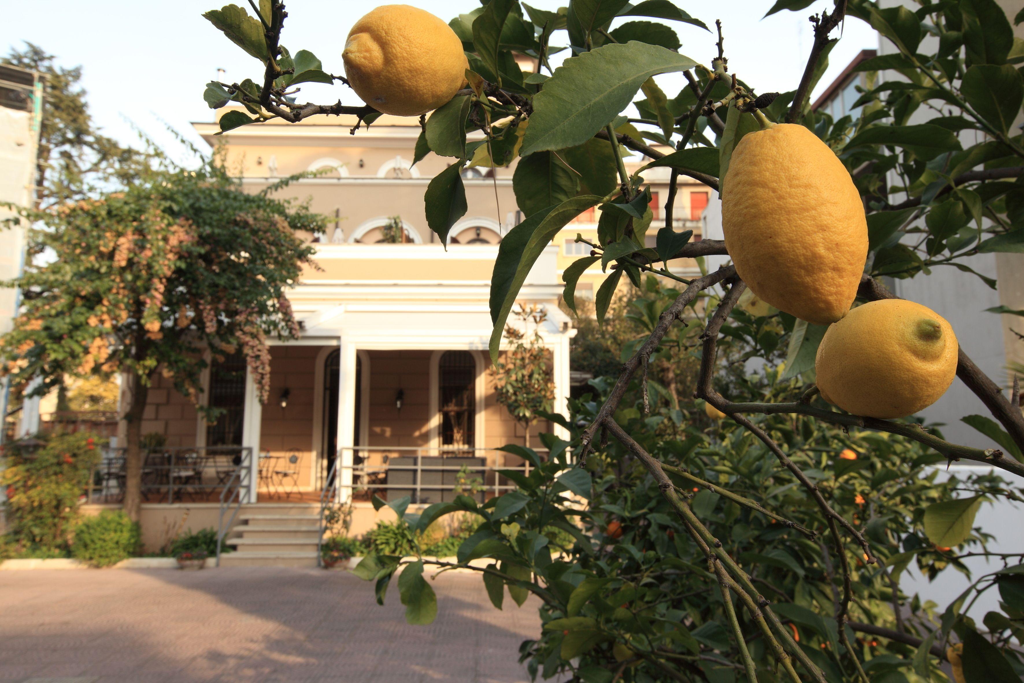 Villa Pirandello — Foto 1
